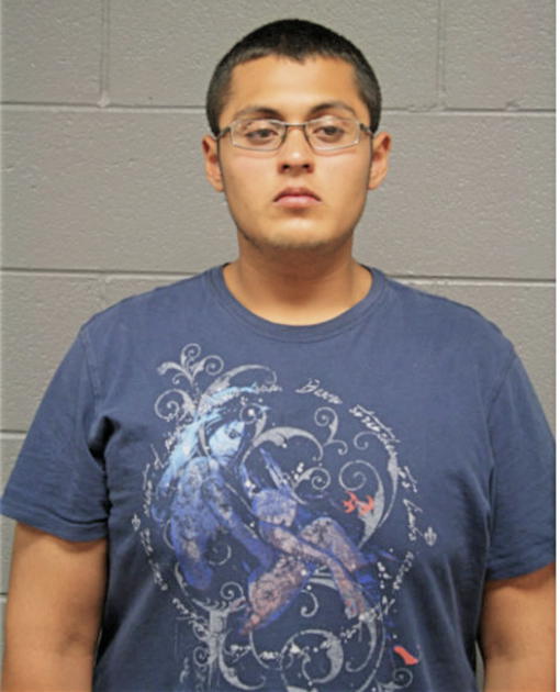 CHRISTOPHER J REYES, Cook County, Illinois
