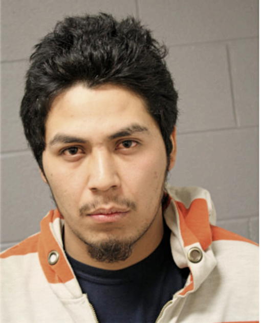 RODRIGO MENDOZA, Cook County, Illinois