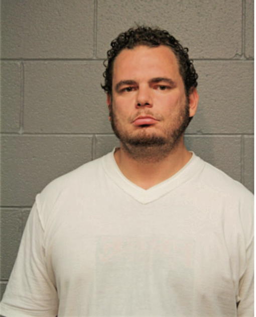 MICHAEL A OLIVO, Cook County, Illinois