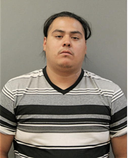 JOSE L OCAMPO, Cook County, Illinois