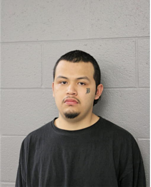 OMAR R FLORES, Cook County, Illinois