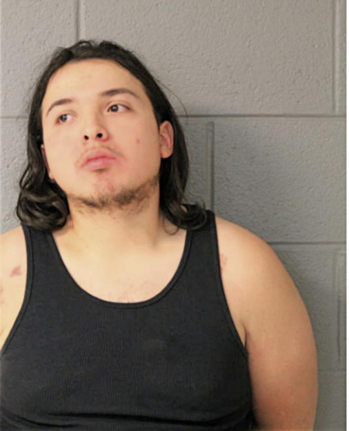 MARTELL R RAMIREZ, Cook County, Illinois