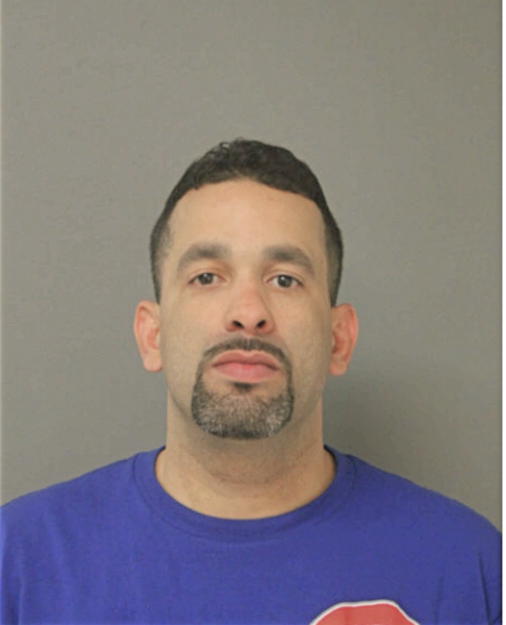 NELSON G TORRES, Cook County, Illinois