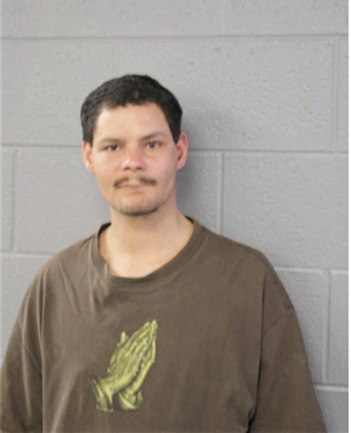 RICKY D GONZALES, Cook County, Illinois