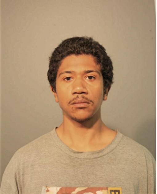 FREDERICK L WOODS-RIVAS, Cook County, Illinois