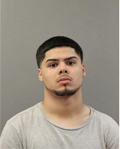 NATHANIEL FLORES, Cook County, Illinois