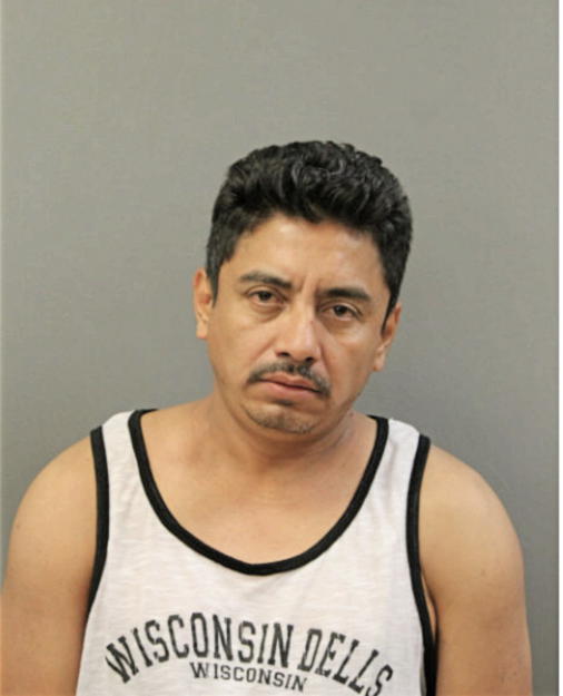 HECTOR M MORALES, Cook County, Illinois