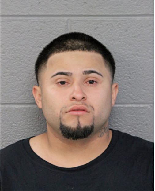 DANNY TIJERINA, Cook County, Illinois