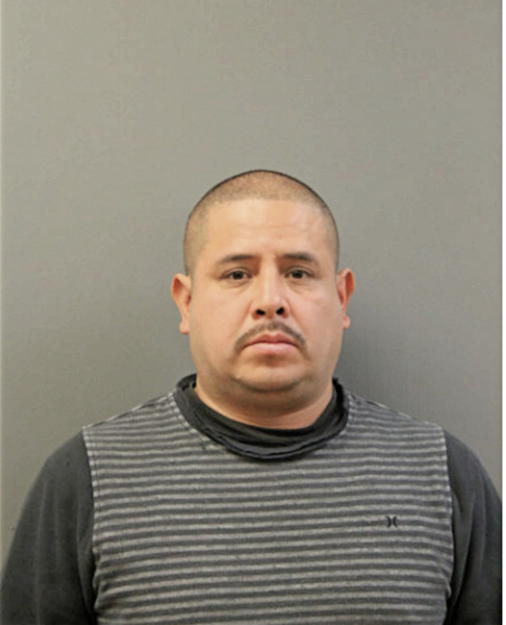 LUIS A GARCIA, Cook County, Illinois