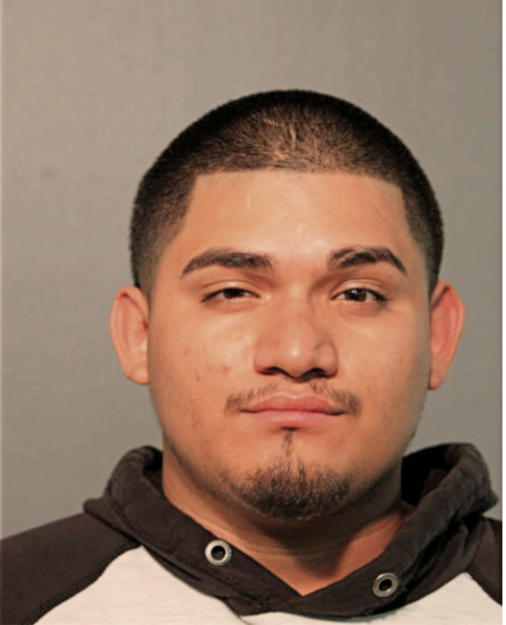 MIGUEL A TORRES, Cook County, Illinois