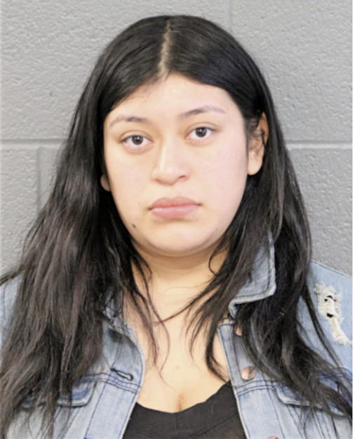 LESLIE J SUAREZ GONZALEZ, Cook County, Illinois