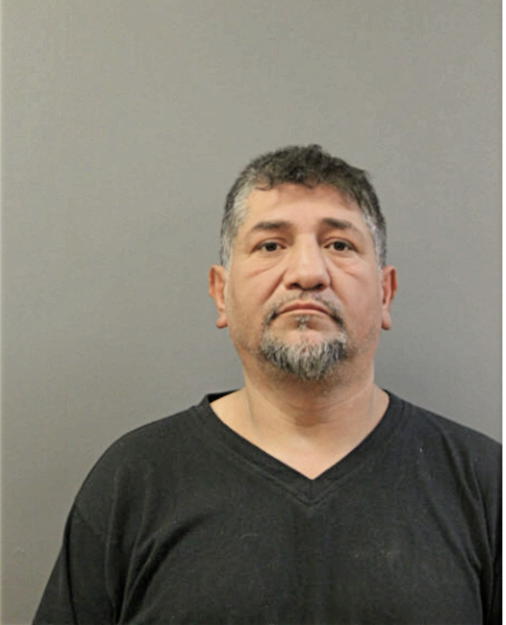 RODOLFO SOTELO, Cook County, Illinois