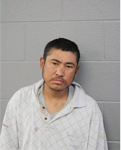 PEDRO SANCHEZ, Cook County, Illinois