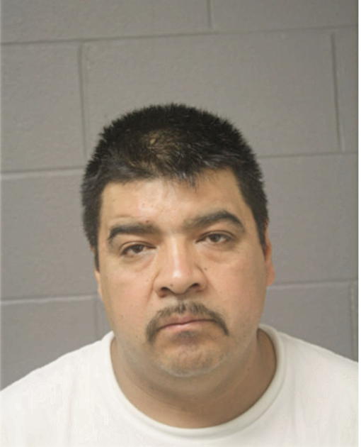 GUADALUPE DELGADO, Cook County, Illinois