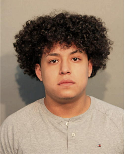 LEONARDO JESUS DIAZ-ALCANTAR, Cook County, Illinois