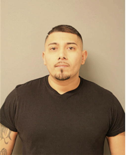 LUIS A MEJIA, Cook County, Illinois