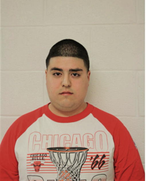 VICTOR FLORES, Cook County, Illinois