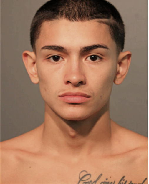 TIMOTHY A RODRIGUEZ, Cook County, Illinois