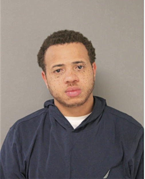 JERMAIN L WHITE, Cook County, Illinois