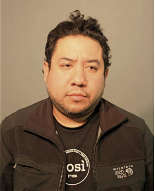 LUIS F SANTOYO, Cook County, Illinois