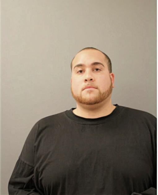 CARLOS V TORRES, Cook County, Illinois