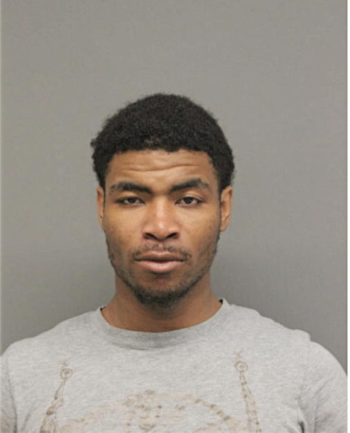 DEONTAY L PAGE, Cook County, Illinois