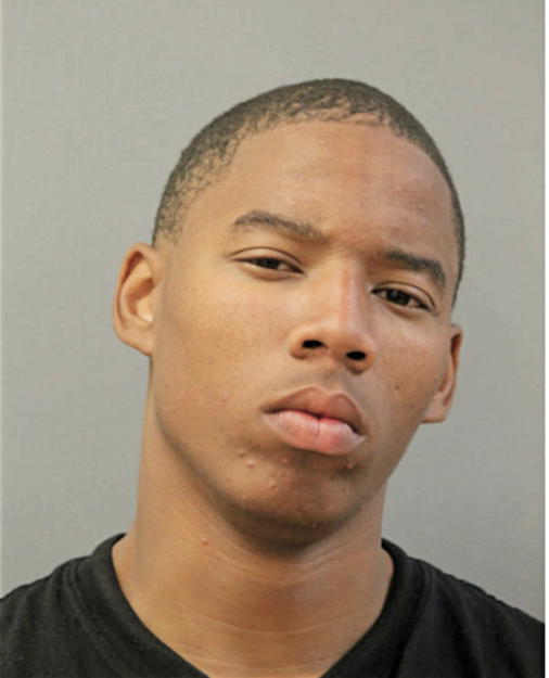 KISHAWN L BROWNLEE, Cook County, Illinois