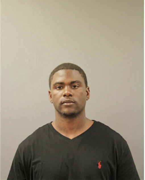 SEAN L JACKSON, Cook County, Illinois