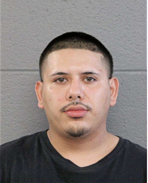 RICARDO A RAMOS, Cook County, Illinois