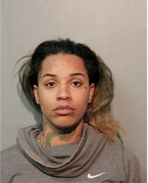 BRITTANY HILL, Cook County, Illinois