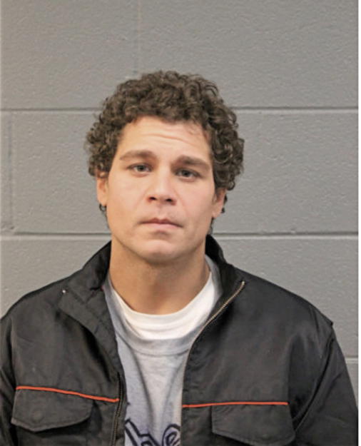 MICHAEL PERRY, Cook County, Illinois