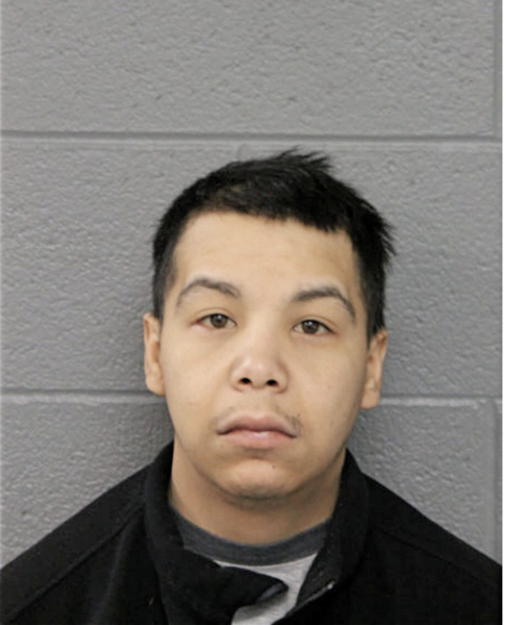 BRIAN C FLORES, Cook County, Illinois