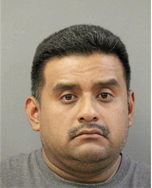 RAFAEL MENDOZA-IGNACIO, Cook County, Illinois