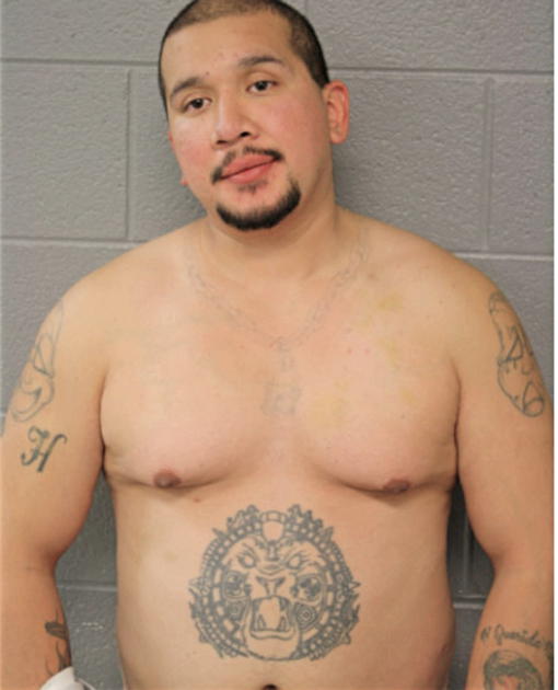 JOEL NAVARETTE, Cook County, Illinois