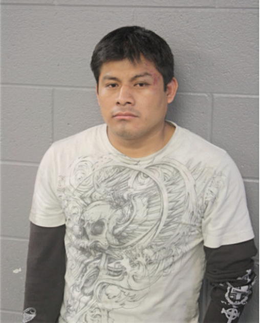 MANUEL MARES, Cook County, Illinois
