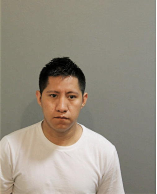 DIEGO MEJIA, Cook County, Illinois