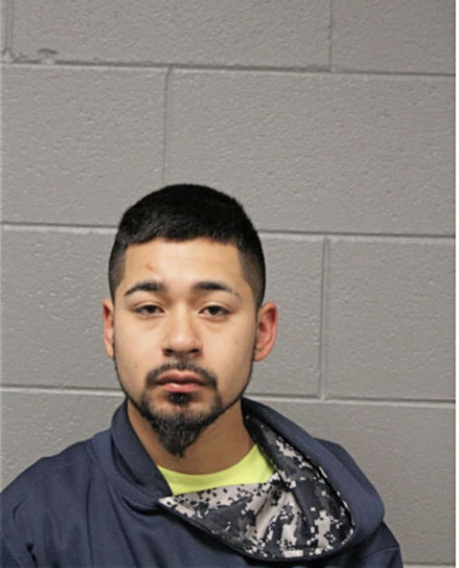 RICKY VALLES, Cook County, Illinois