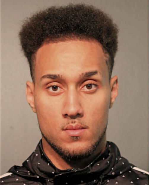 THOMAS MARQUISE-LESHAWN WOLKOW, Cook County, Illinois