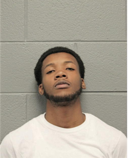 CHRISTOPHER A MCGEE, Cook County, Illinois