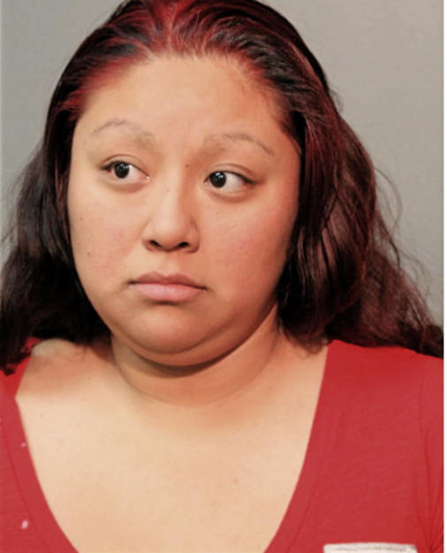 SOLEDAD ROMAN, Cook County, Illinois