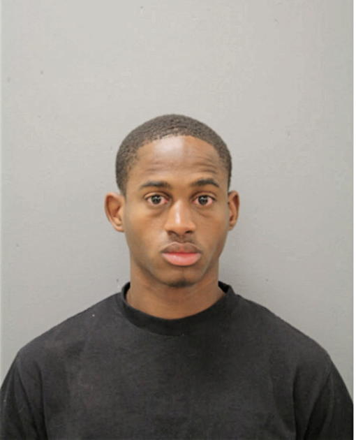 DIONTE L VAUGHNS, Cook County, Illinois