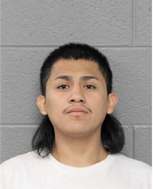 ERICK O ROJAS, Cook County, Illinois