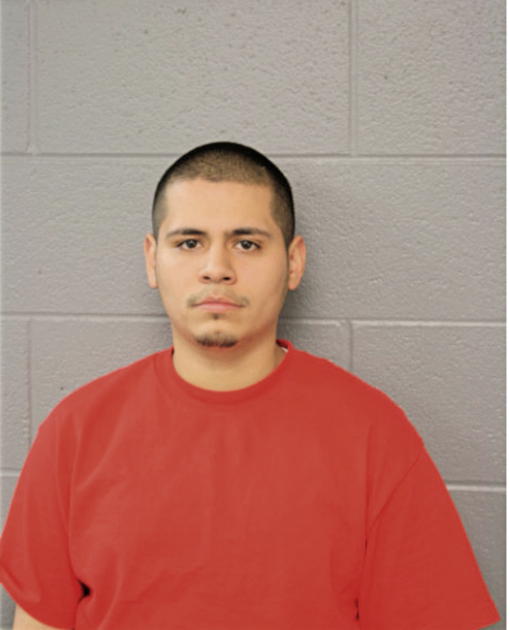 MIGUEL A TORRES, Cook County, Illinois