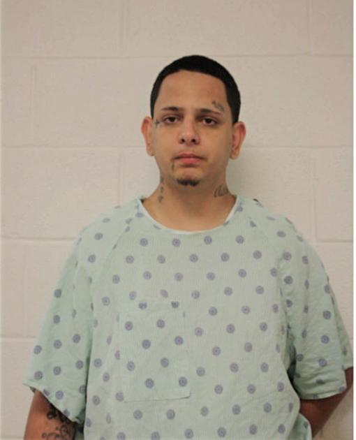 DAMIAN M RODRIGUEZ, Cook County, Illinois