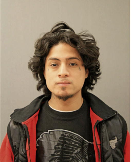 LEWIS P RODRIGUEZ, Cook County, Illinois