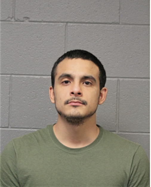 BRANDON SILVA-MARTINEZ, Cook County, Illinois