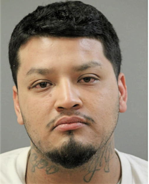 RAUL DIAZ-GARCIA, Cook County, Illinois