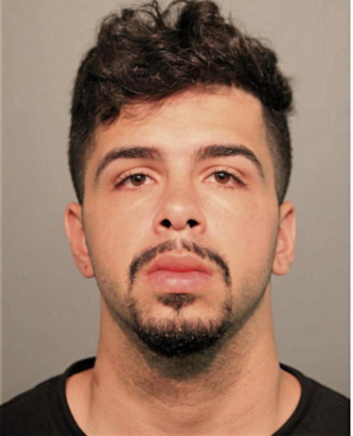 ISMAEL GONZALEZ, Cook County, Illinois