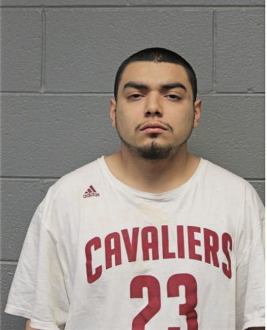 LUIS S LEON, Cook County, Illinois