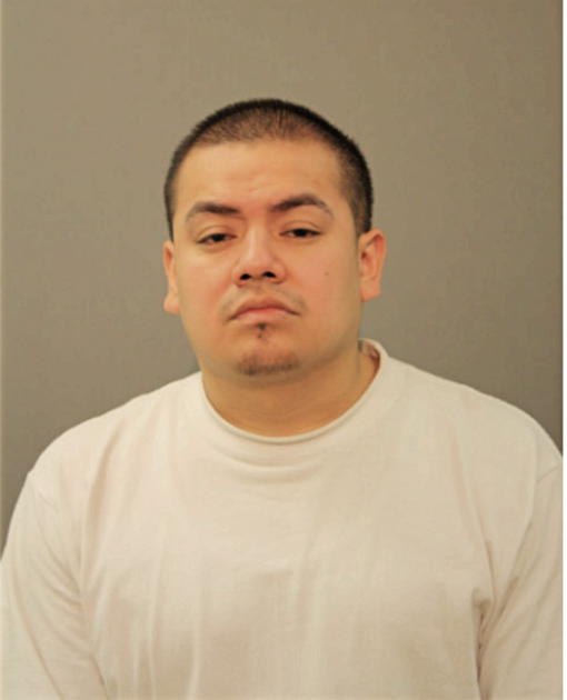 JUAN CARLOS FERNANDEZ, Cook County, Illinois